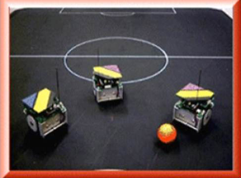 Soccer Robot System