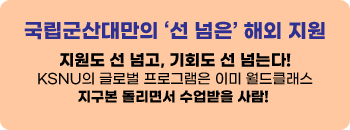선넘은해외지원