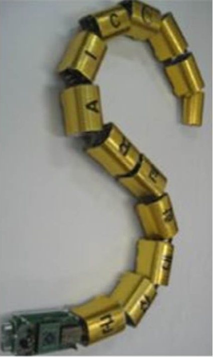 Snake Robot (서보 모터)