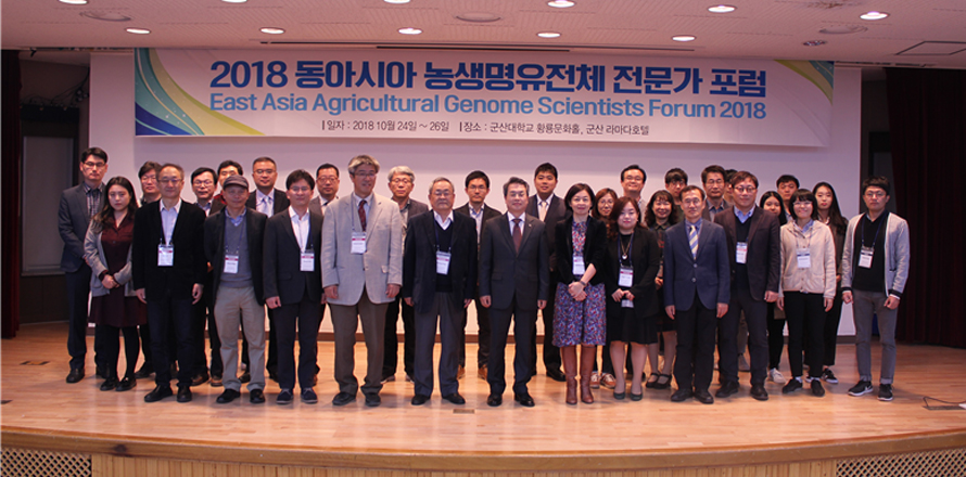 EAAGSF2018년이미지