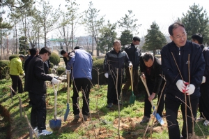군산대 캠퍼스 식목행사 개최…배롱나무, 느티나무, 꽃댕강나무 등 교직원 2000여주 기부 이미지(1)
