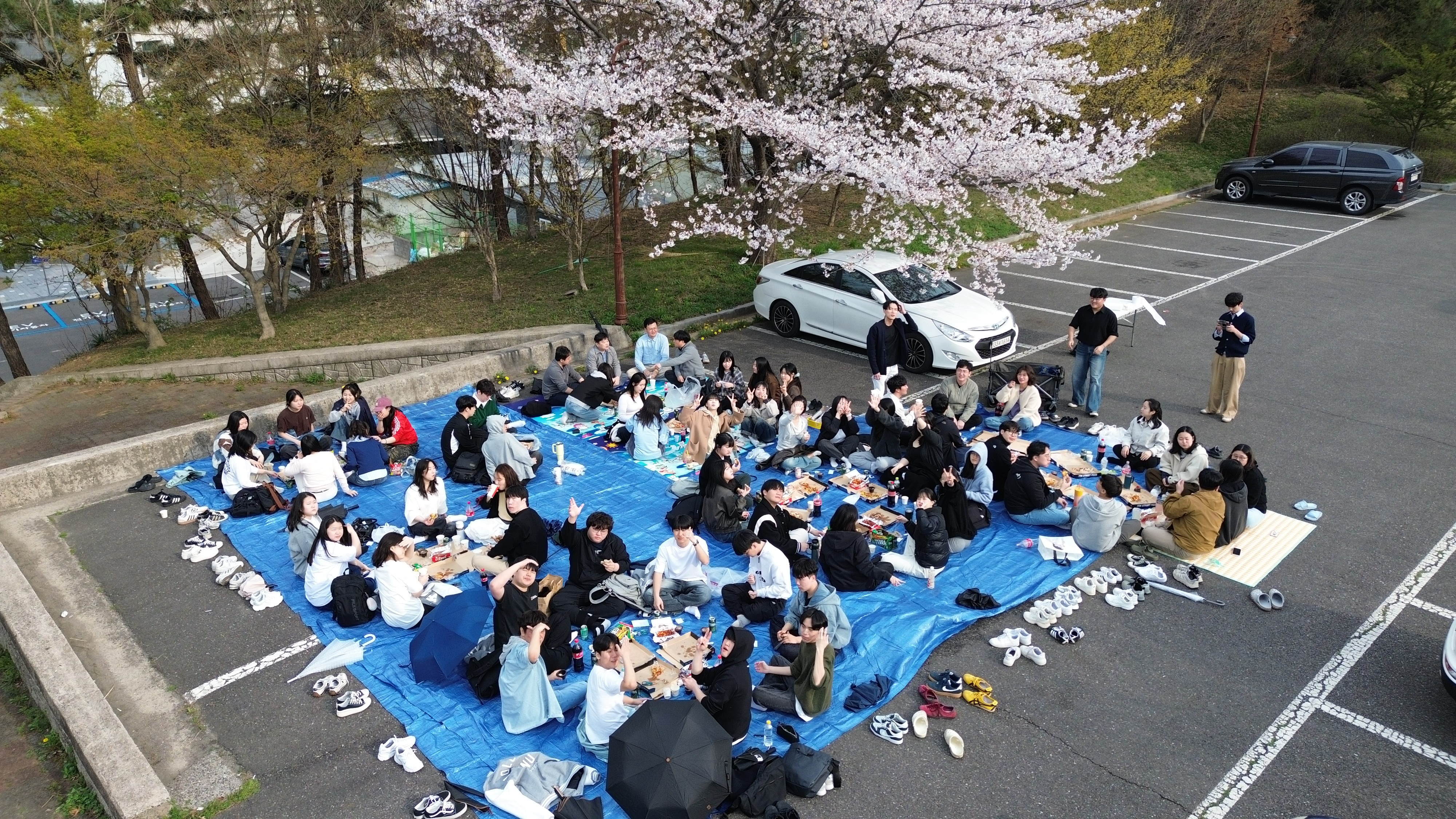 2025학년도 생명과학과 벚꽃 피크닉