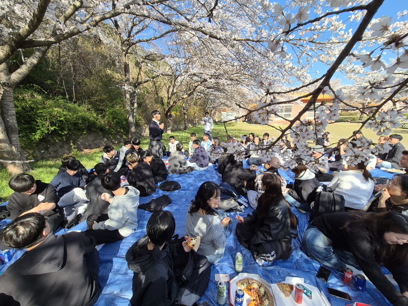 2026학년도 생명과학과 벚꽃 피크닉 및 네트워킹 프로그램
