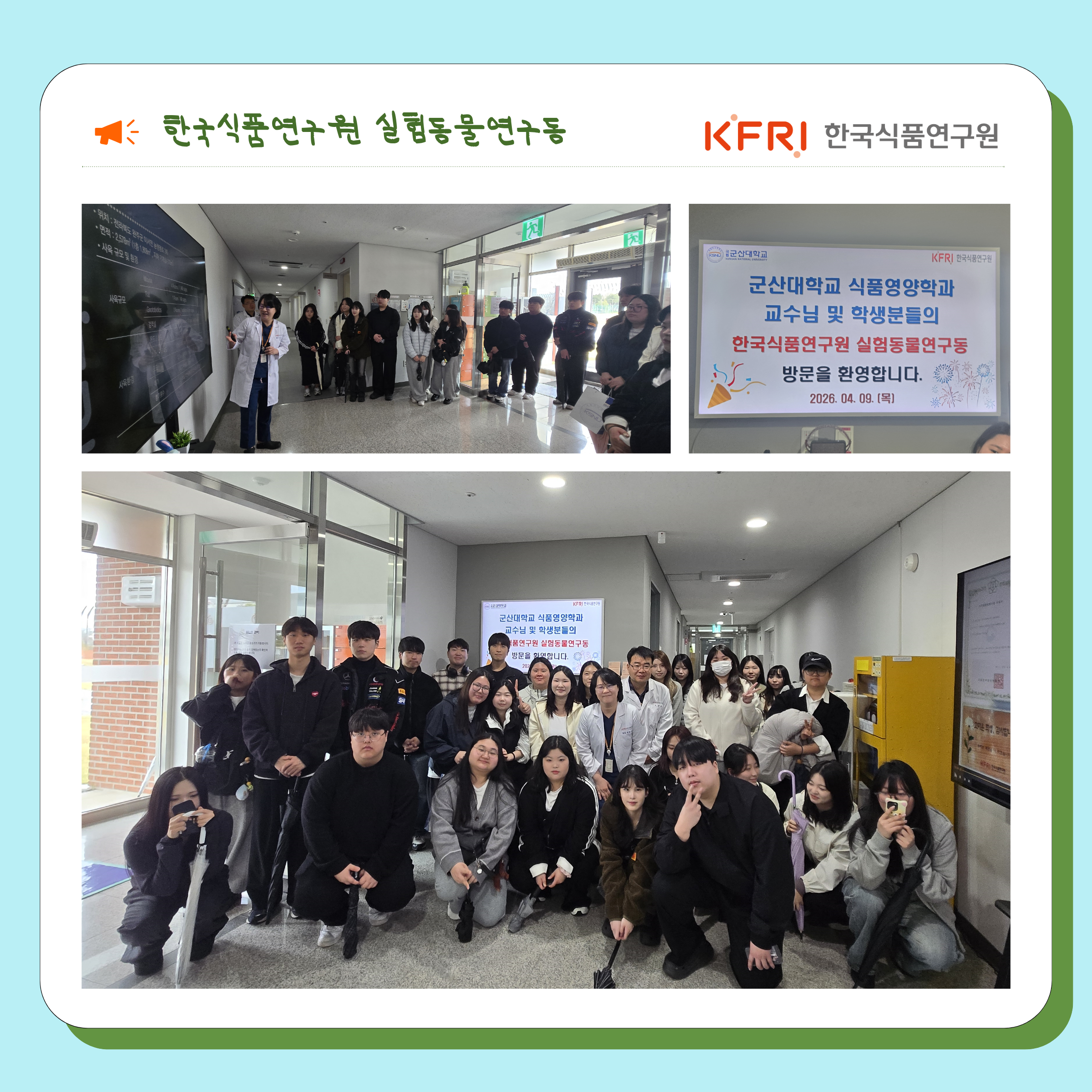 사진-3