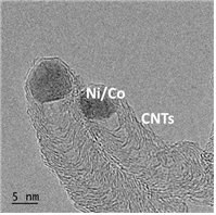 Co-Ni 촉매의 전자현미경 사진