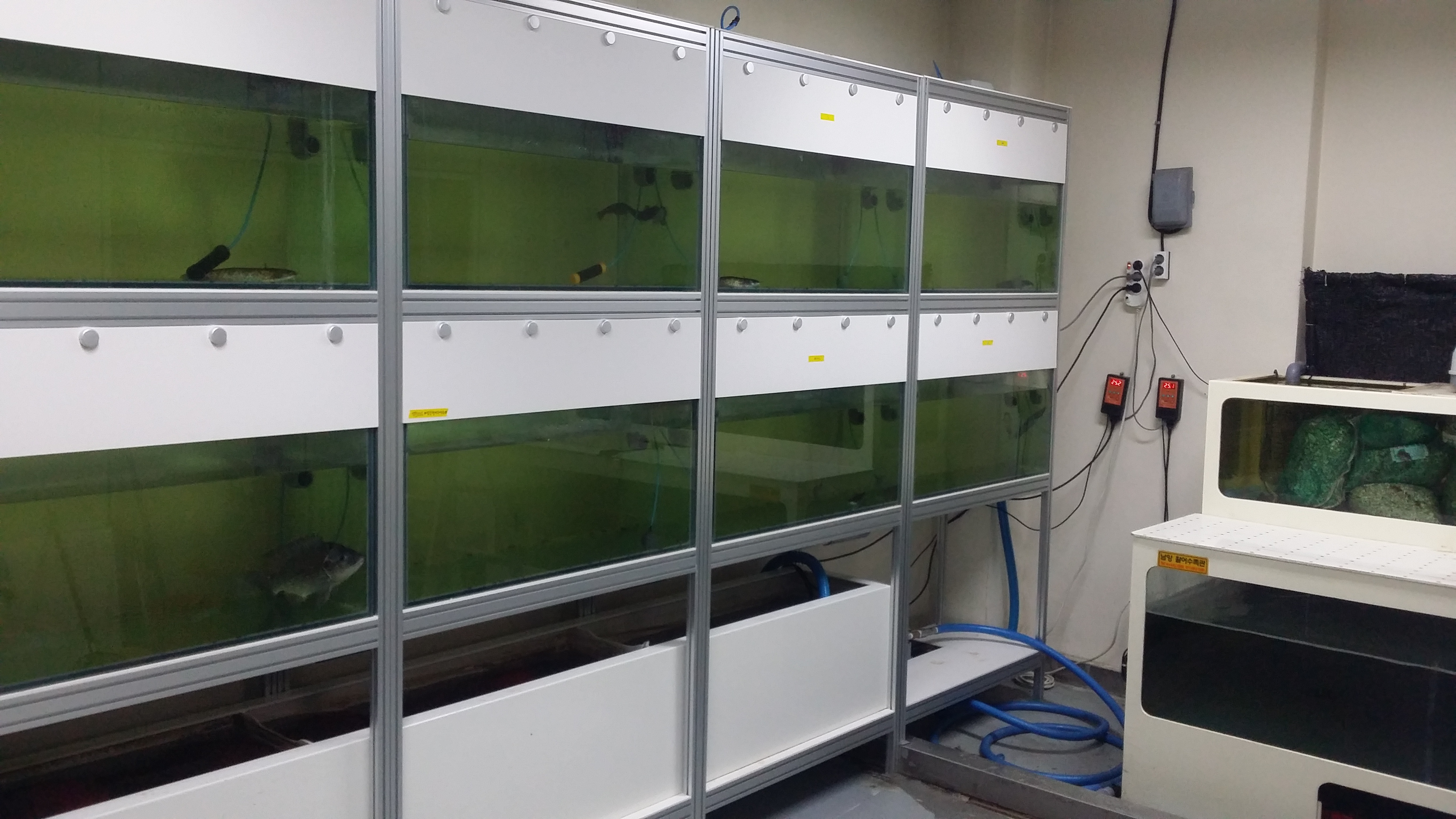 바이러스 면역학 실험실 실험축양장 이미지(2)