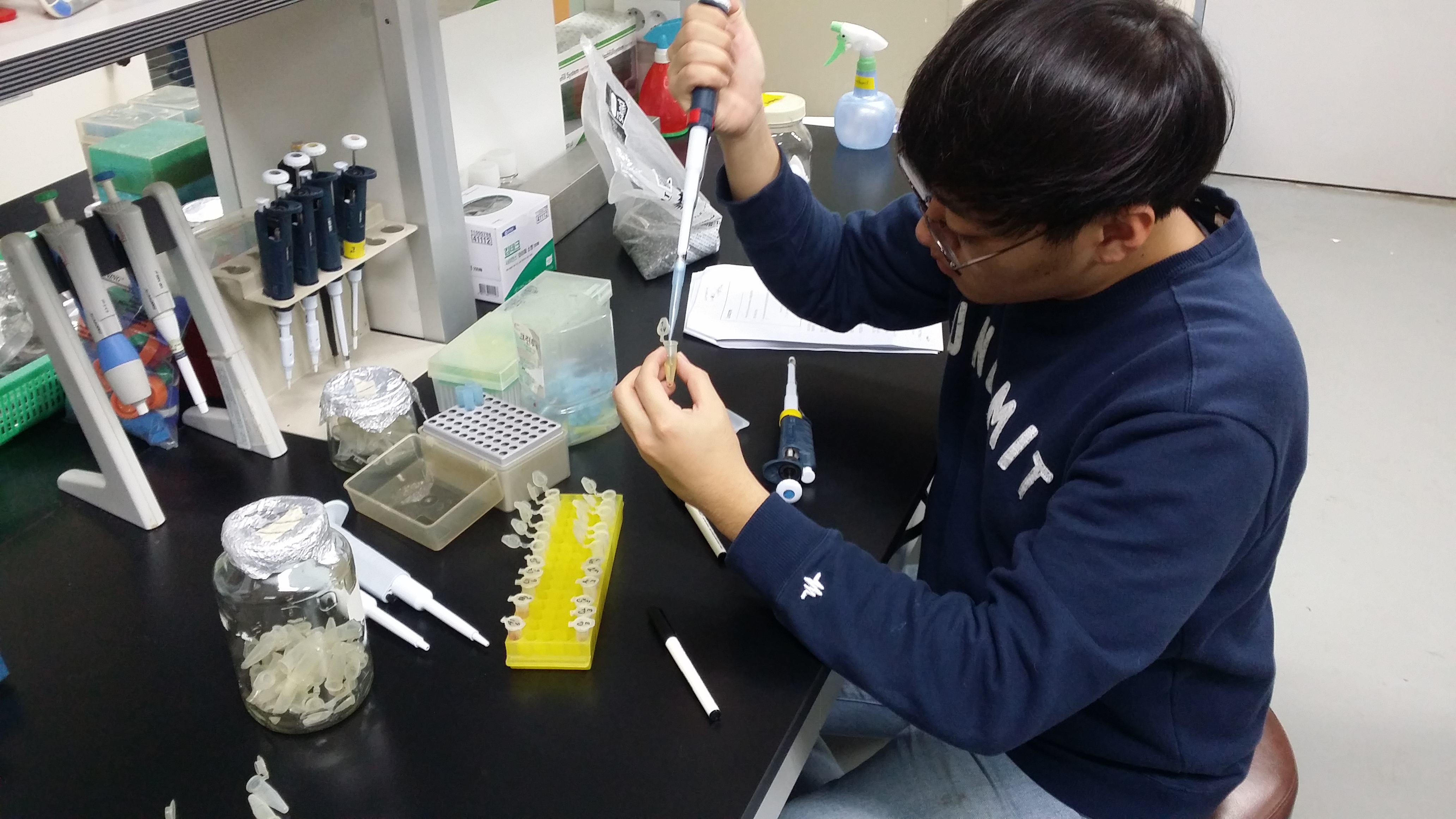 바이러스 면역학 실험실 실습모습 이미지(2)