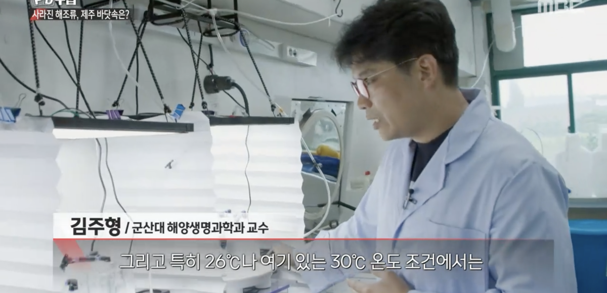 인터뷰