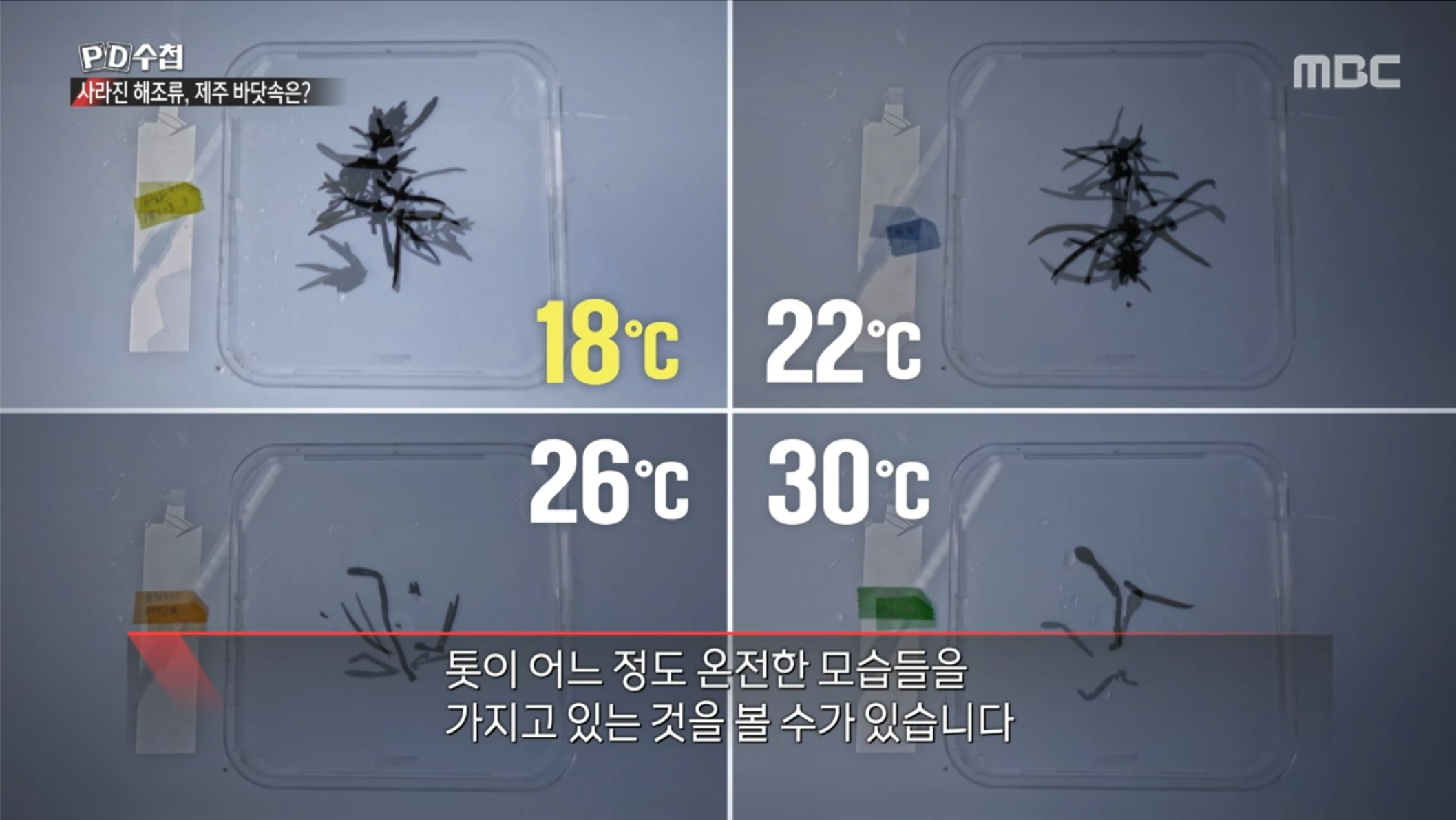 실험결과