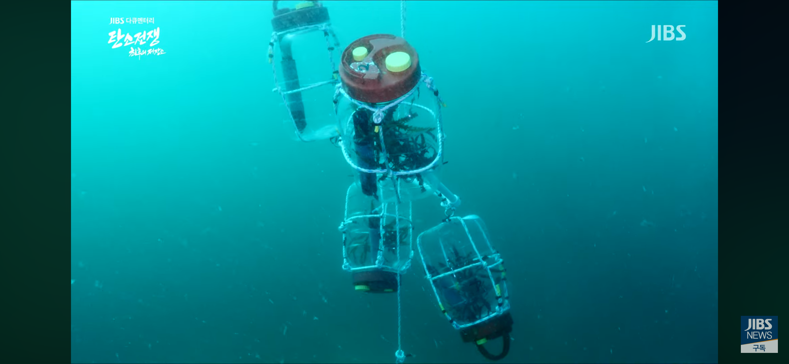 탄소흡수력 측정