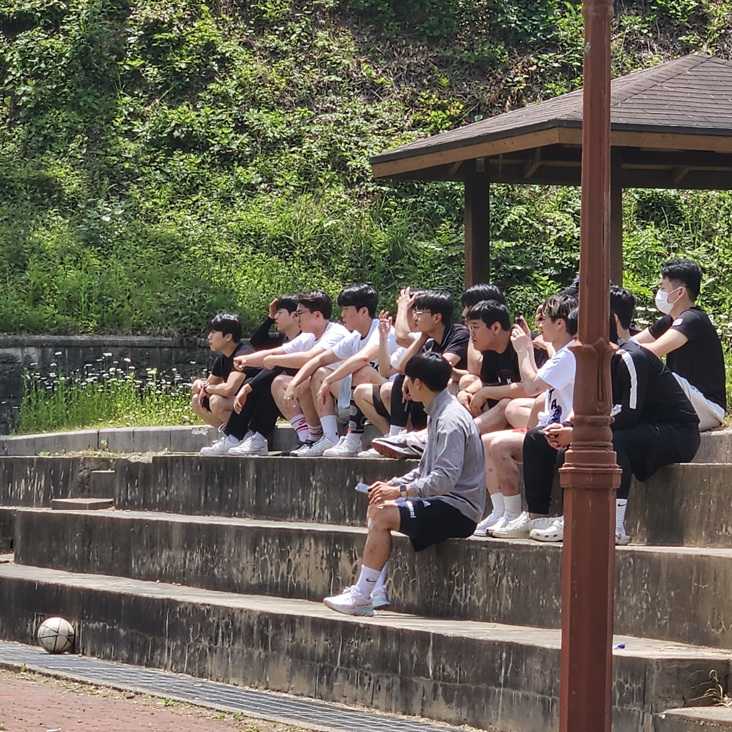 사진