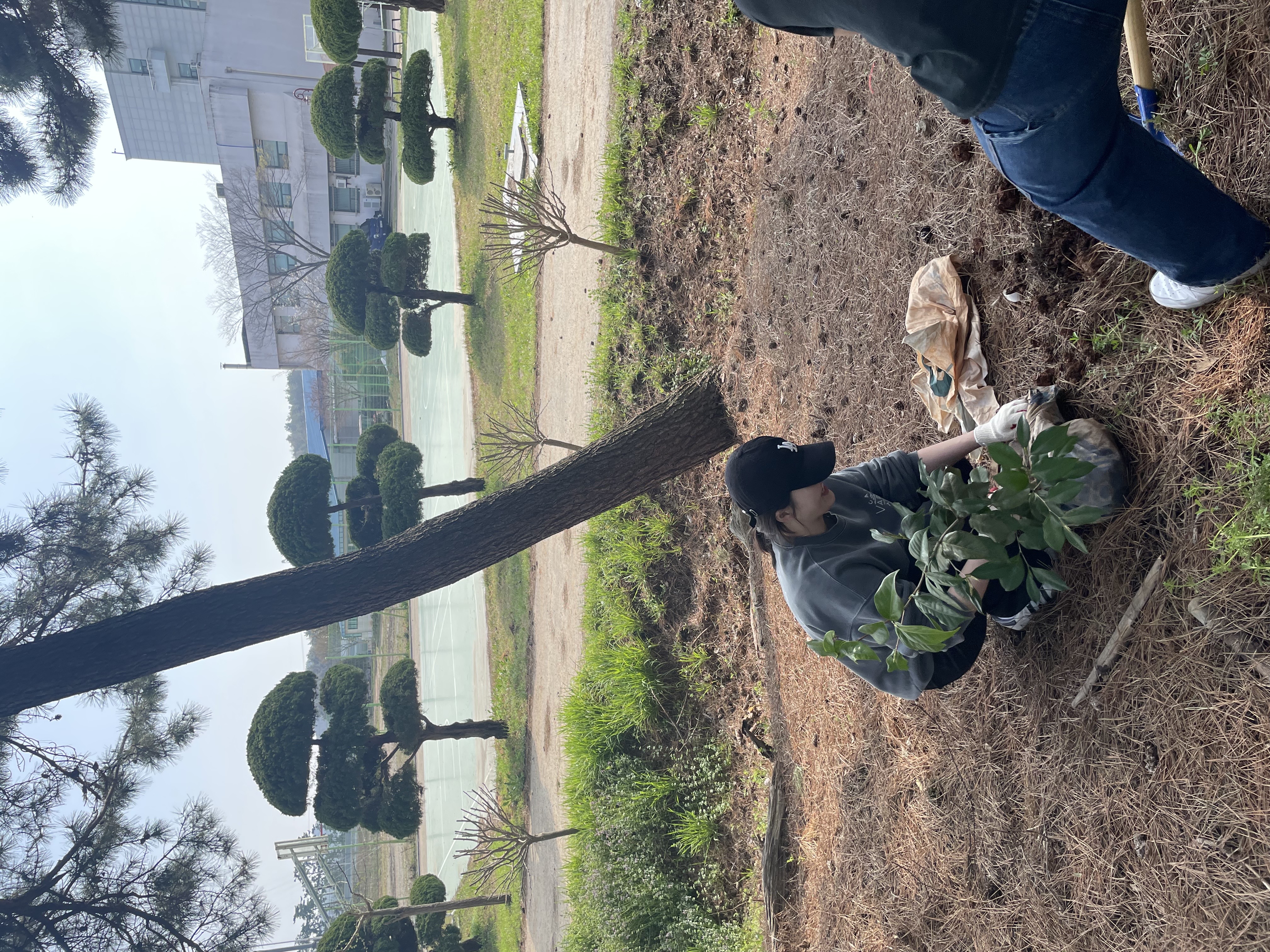 나무를 심고있는 연구원