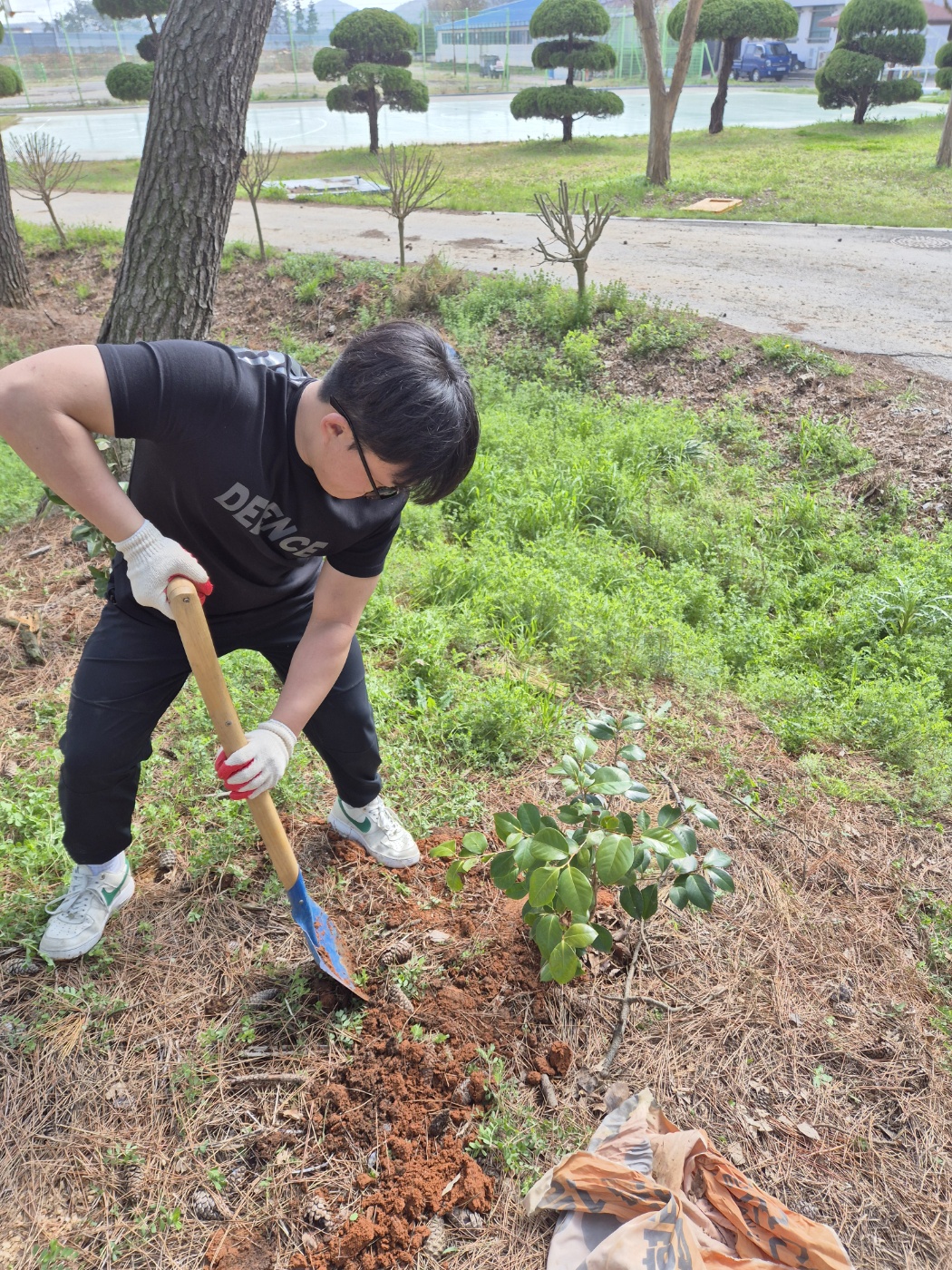 나무를 심고있는 학생