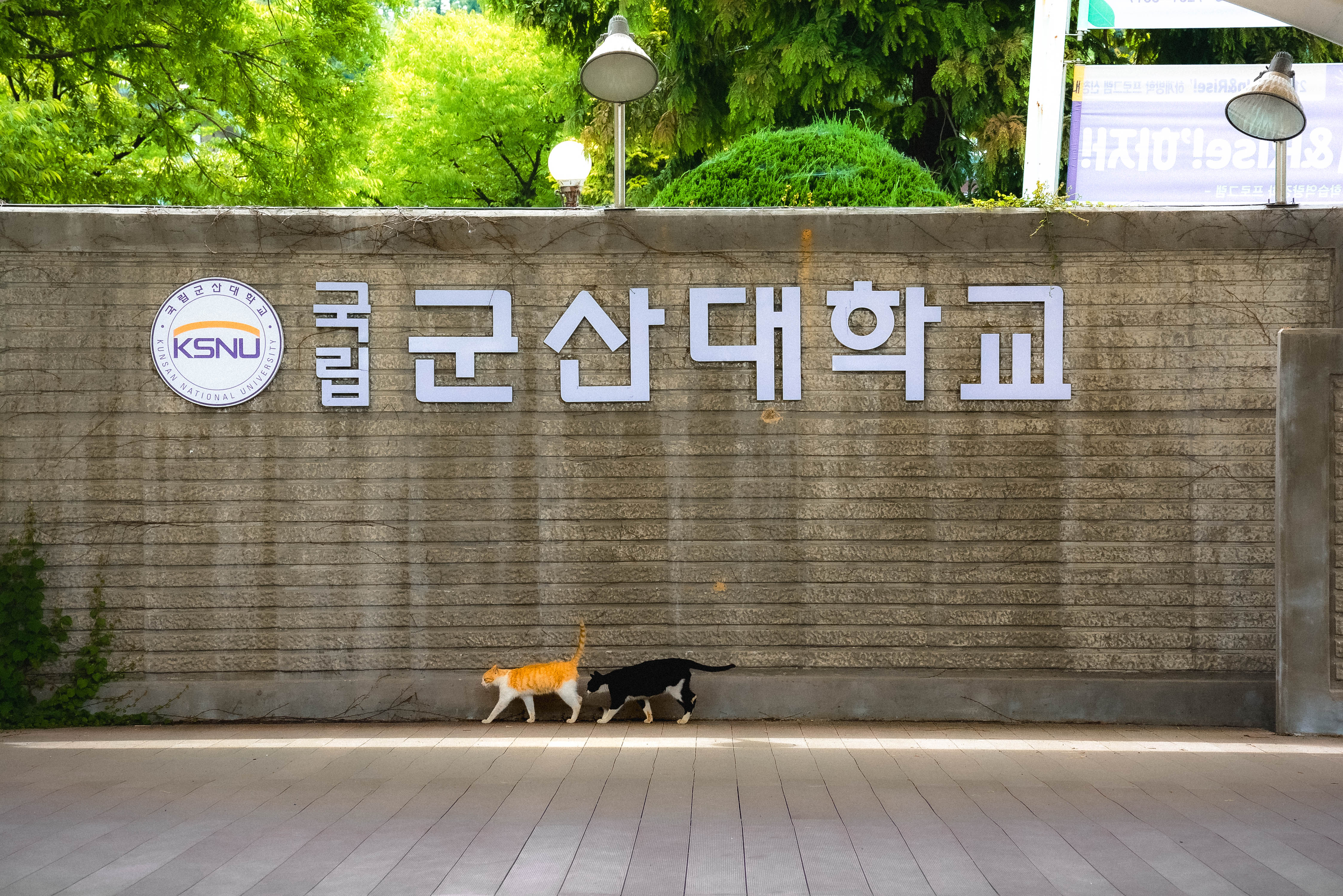 제9회 군산대학교 사진공모전 당선작