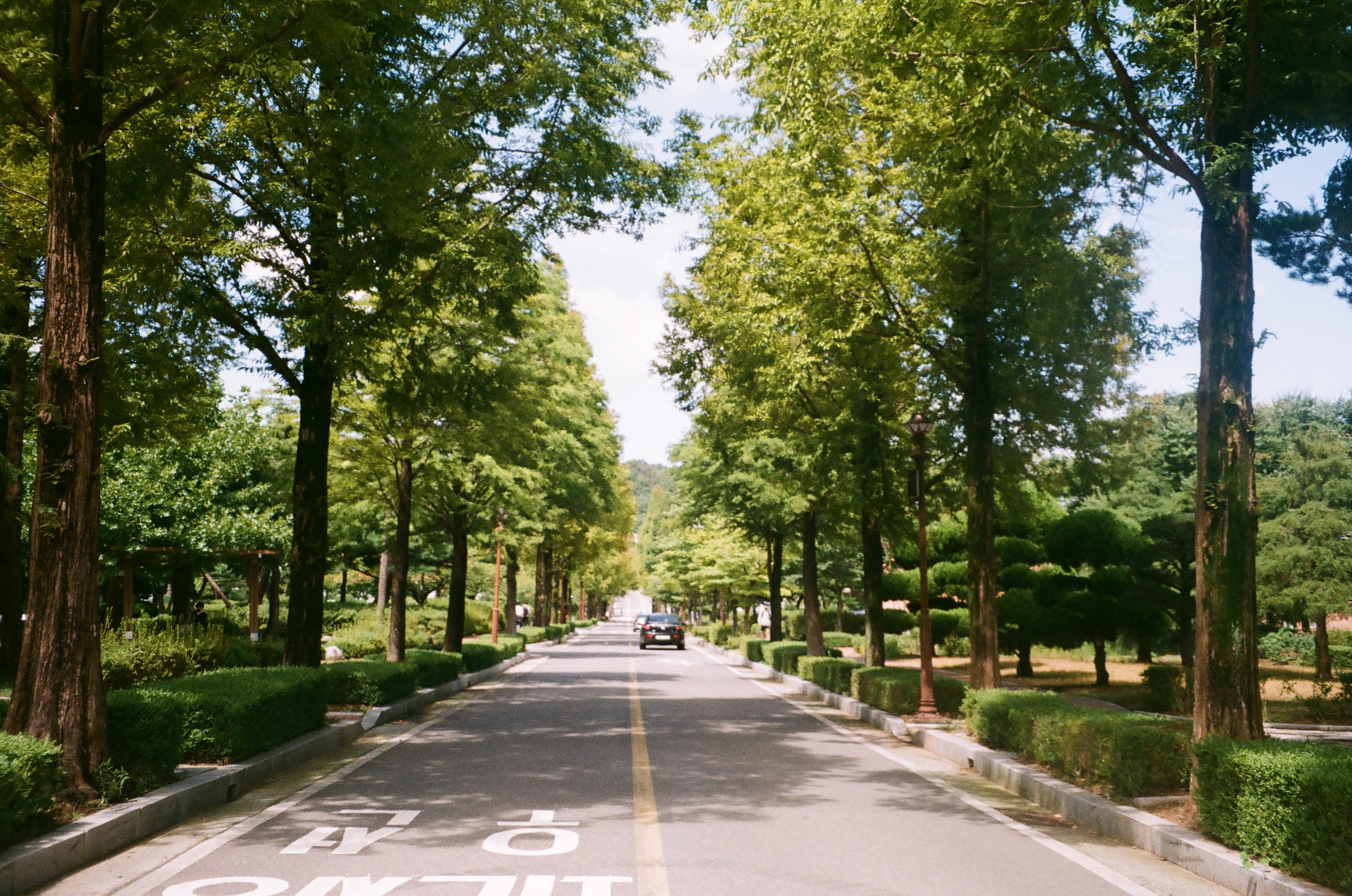 2025 국립군산대학교 사진·영상 공모전 사진부문 수상작