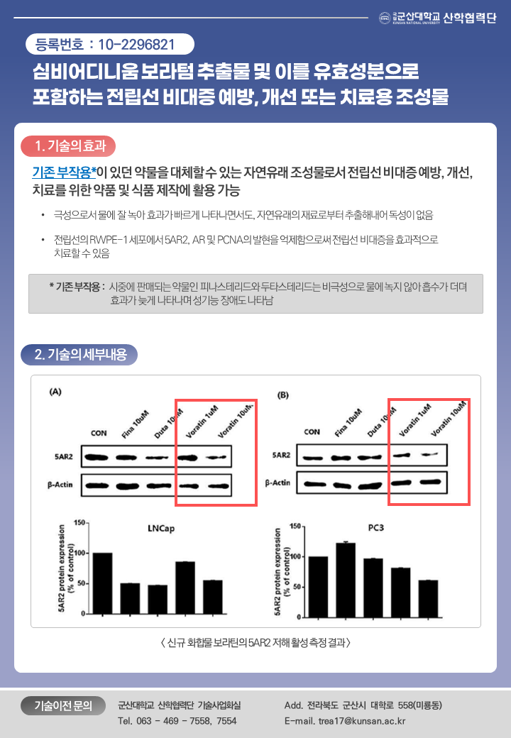 심비어디니움 보라텀 추출물 및 이를 유효성분으로 포함하는 전립선 비대증 예방, 개선 또는 치료용 조성물 이미지(1)