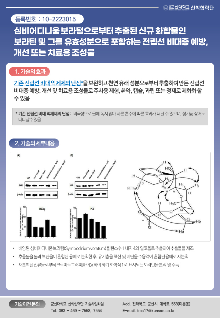 심비어디니움 보라텀으로부터 추출된 신규 화합물인 보라틴 및 그를 유효성분으로 포함하는 전립선 비대증 예방, 개선 또는 치료용 조성물 이미지(1)