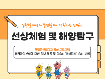 프로그램 노이미지