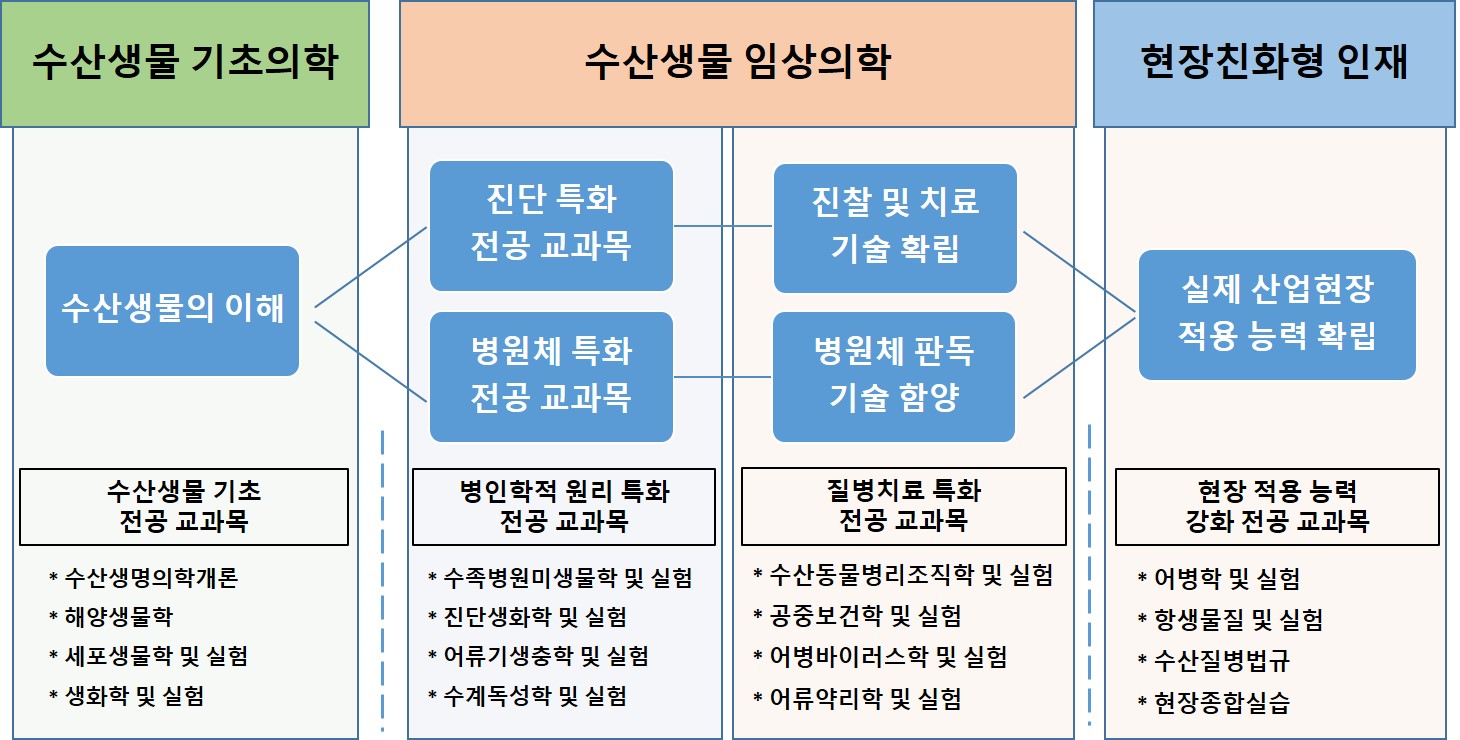커리큘럼