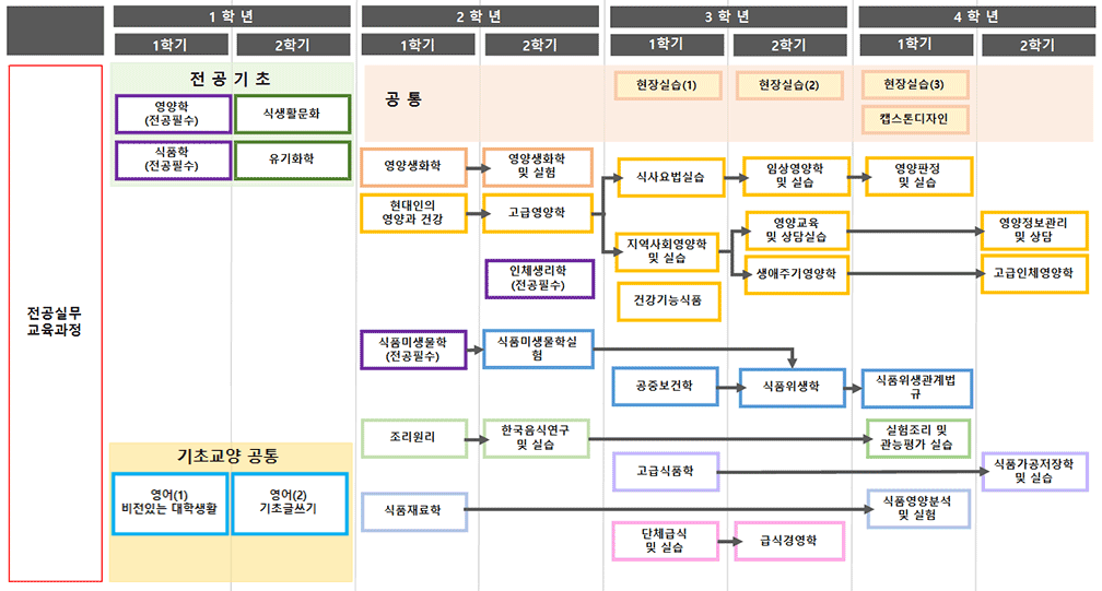 식품영양학전공 교과과정 이수체계도