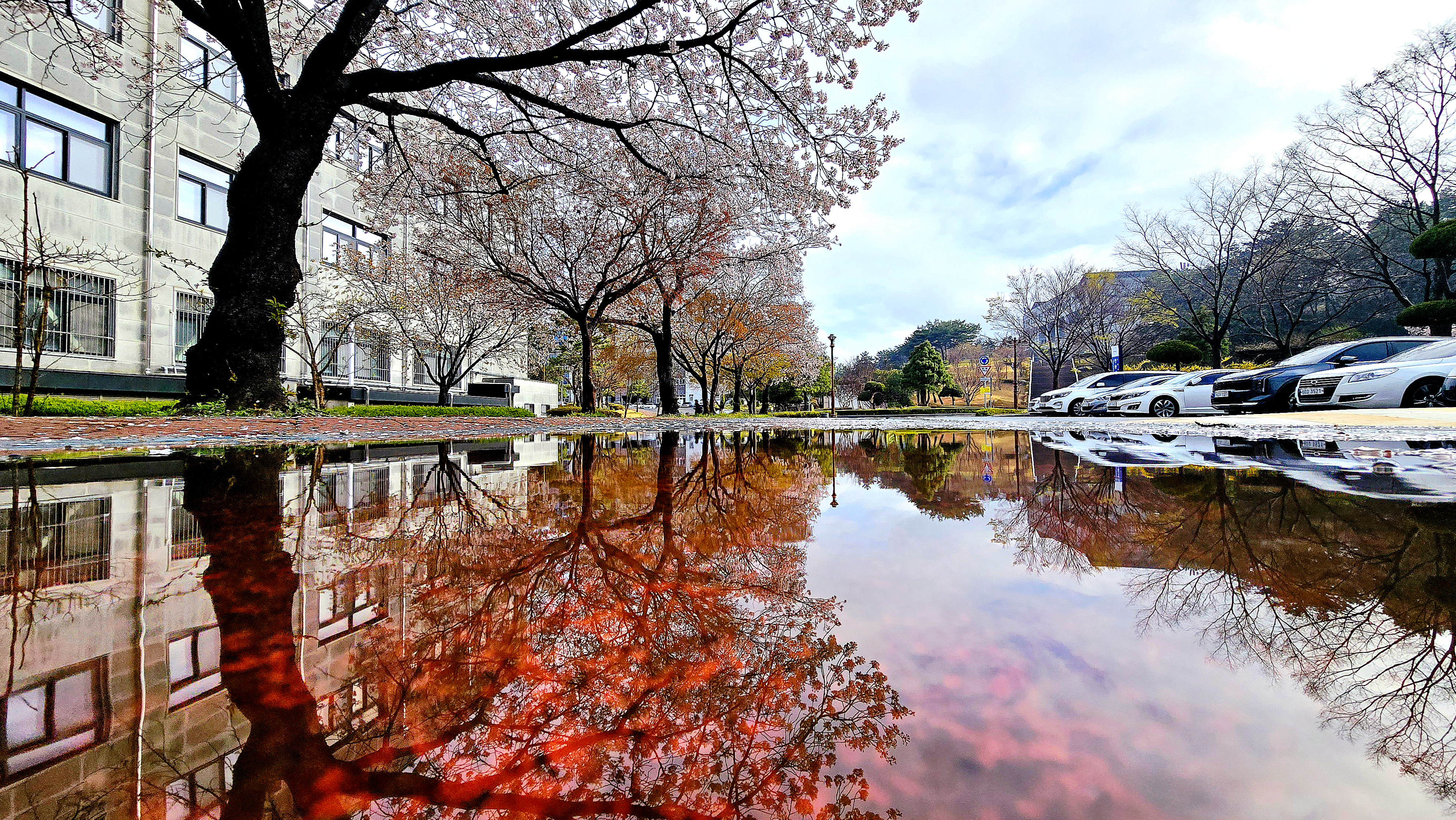 국립군산대학교 국립대학육성사업 비주얼 3