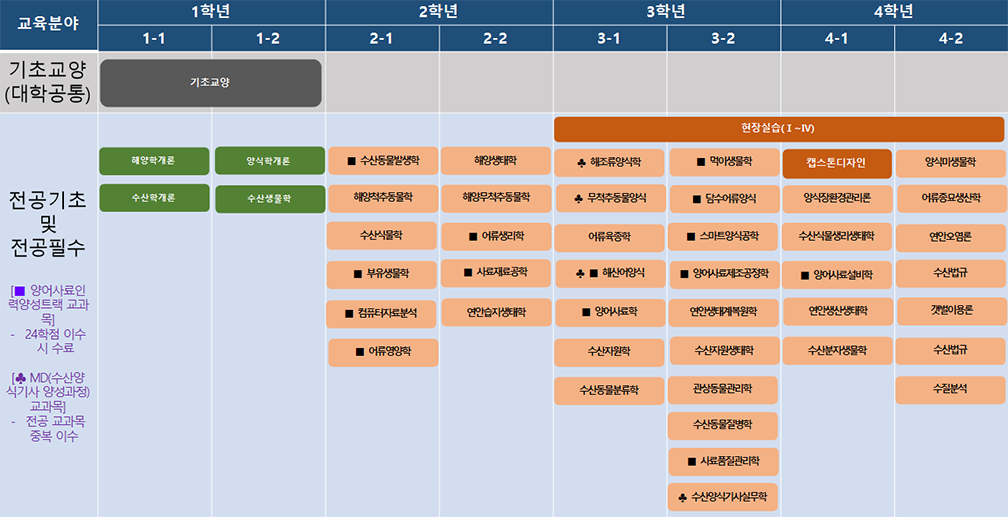 교과과정