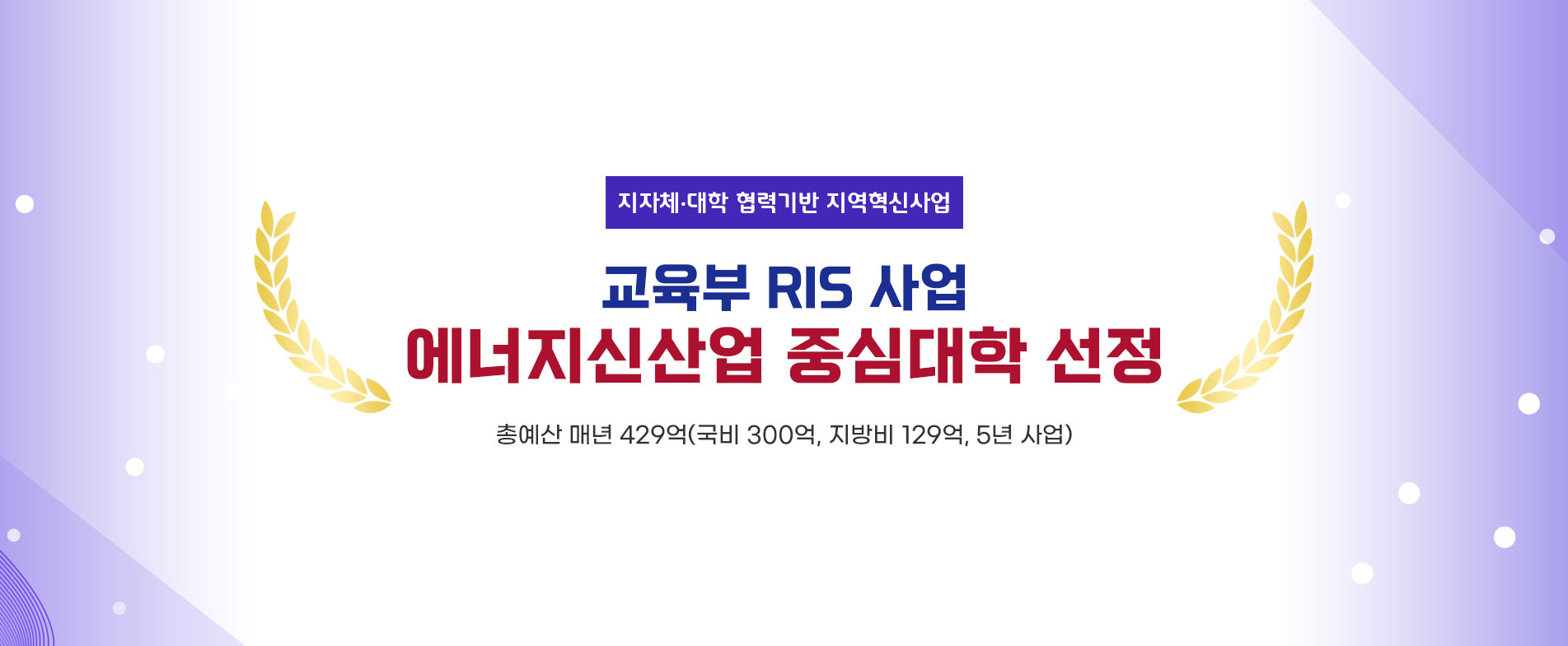 지자체·대학 협력기반 지역혁신사업
교육부 RIS 사업
에너지신산업 중심대학 선정
총예산 매년 429억(국비 300억, 지방비 129억, 5년사업)