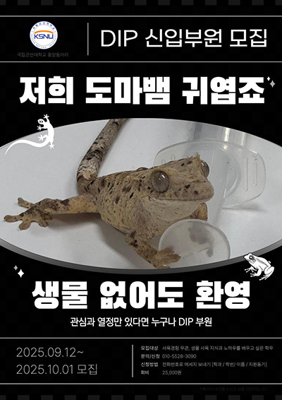 DIP 신입부원 모집
저희 도마뱀 귀엽죠
생물 없어도 환영
관심과 열정만 있다면 누구나 DIP 부원
2025.09.12 ~ 2025.10.01. 모집